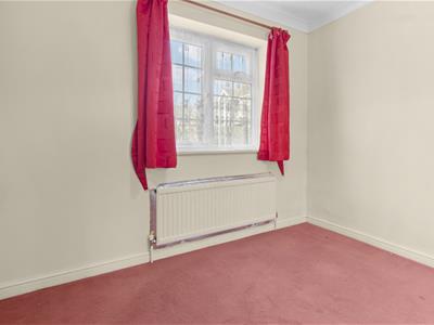Picture 13